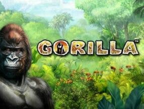 transmissão de jogos ao vivo hoje sky