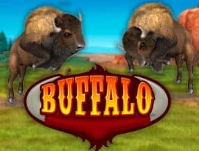 cartela jogo do bicho